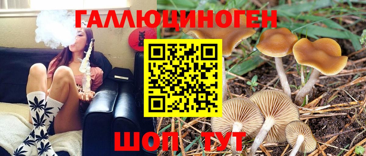 Галлюциногенные грибы Magic Shrooms Казань
