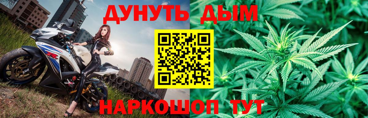 Каннабис OG Kush Казань